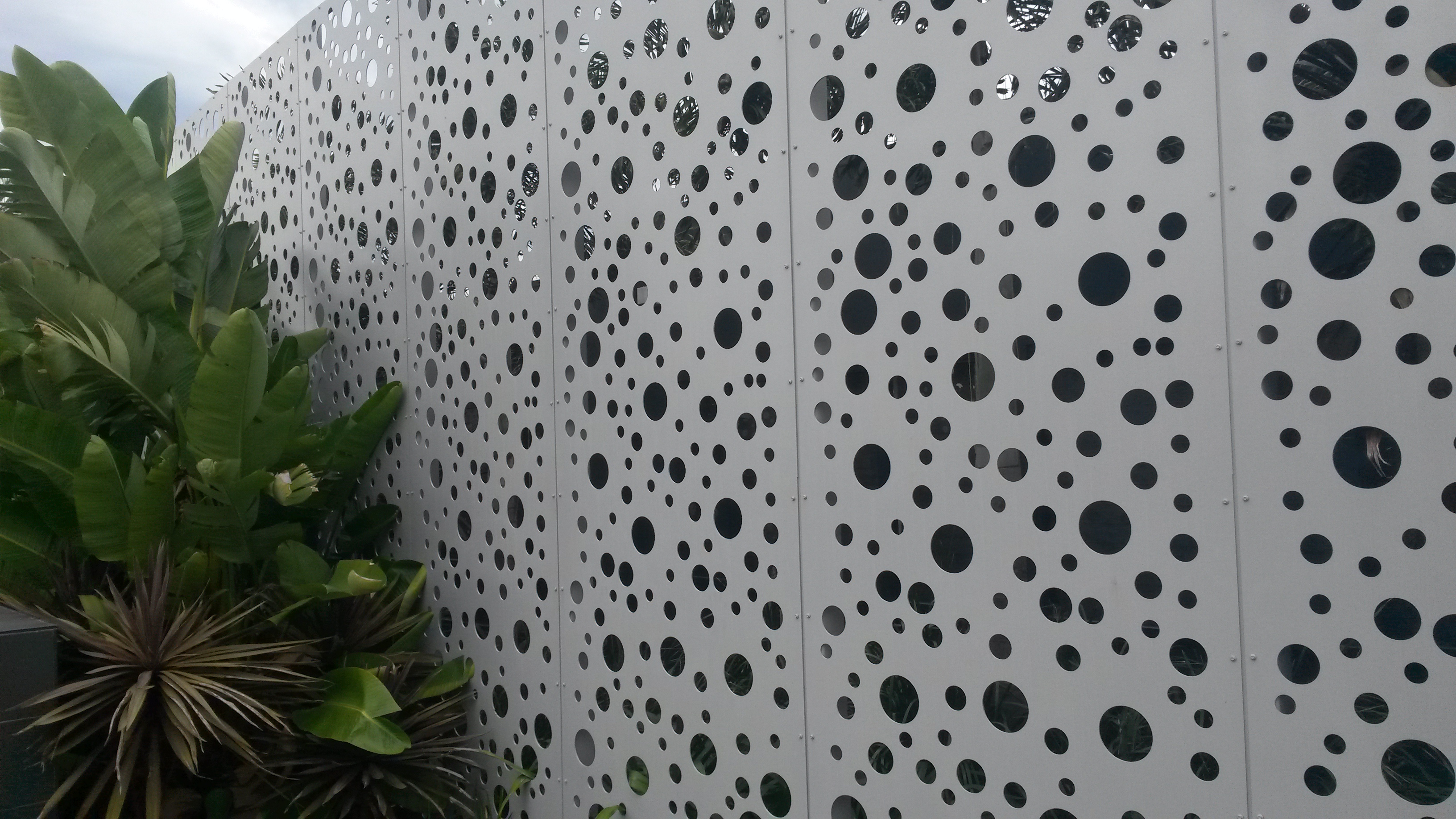 20160713_083136.jpg